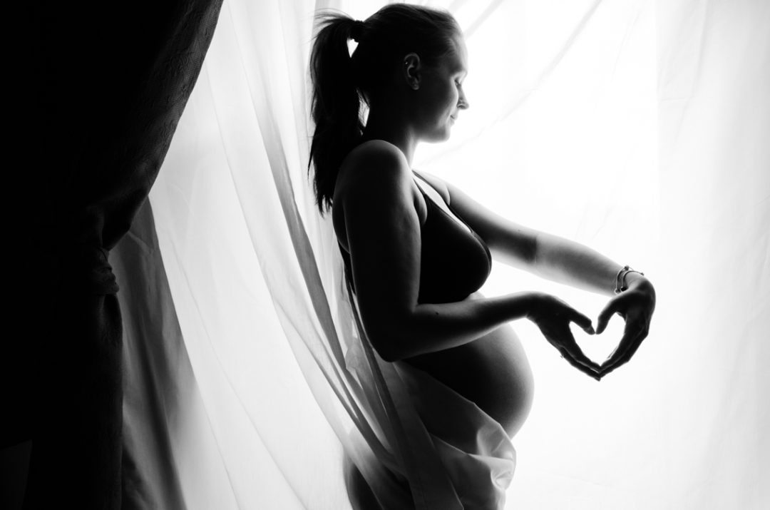 pregnancy shadow window anna frost