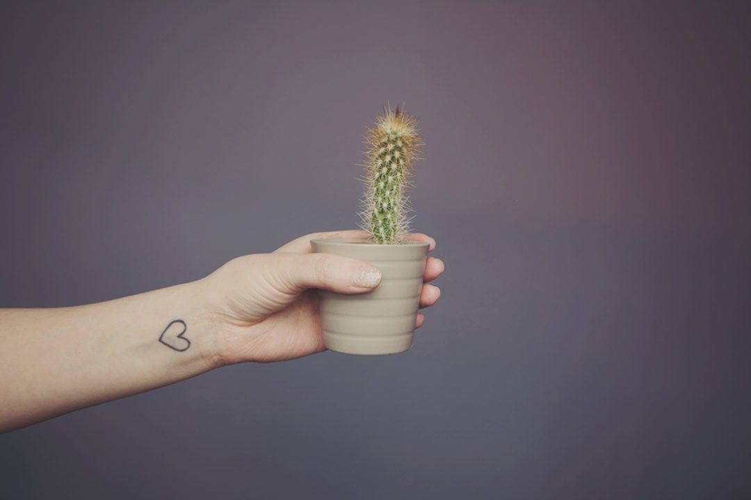 kaktus blume herz tattoo