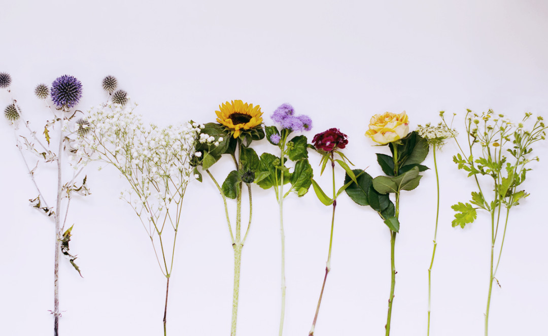 flowers flatlay august