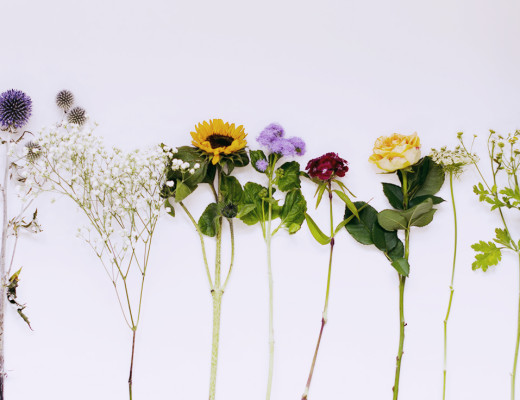 flowers flatlay august