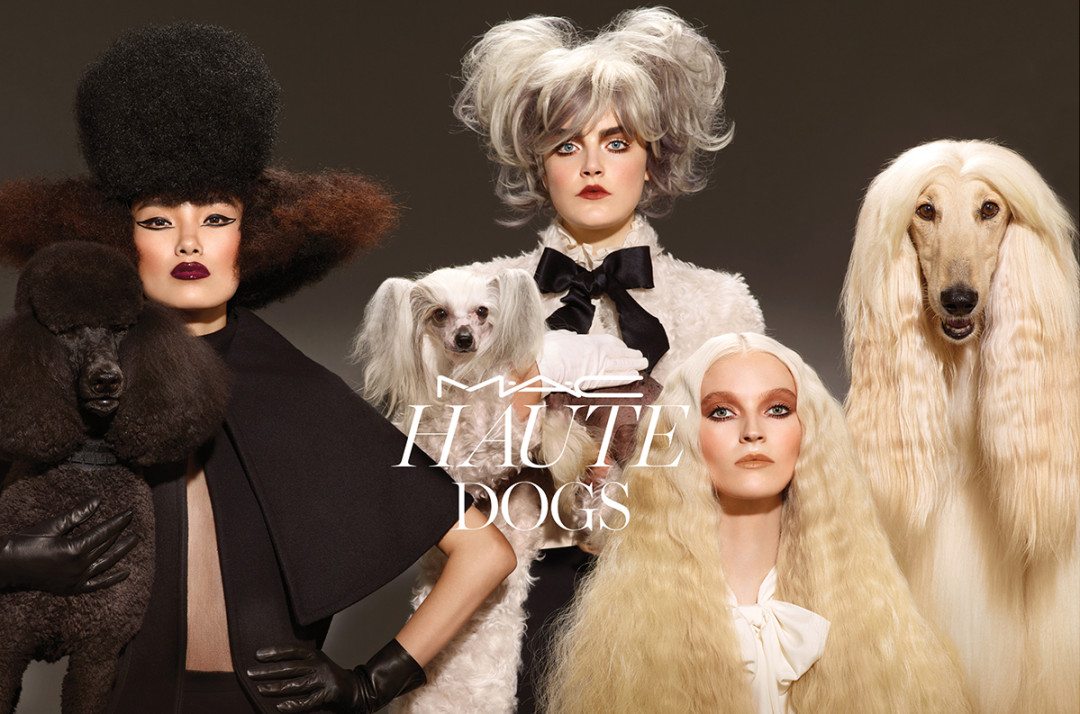 haute dogs mac header