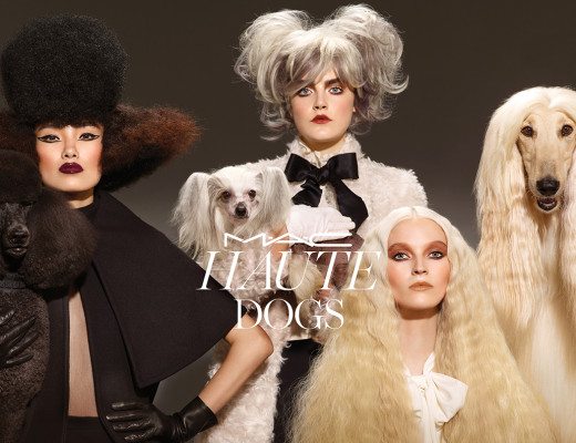 haute dogs mac header