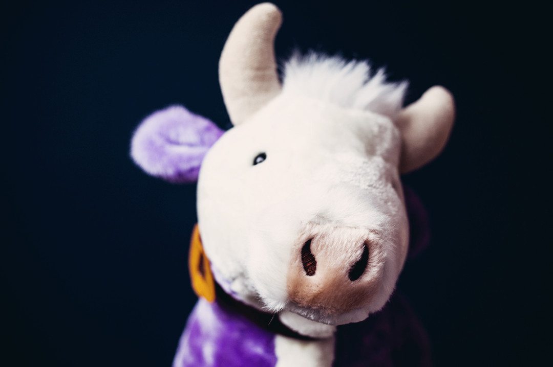 anna frost fafine milka kuh