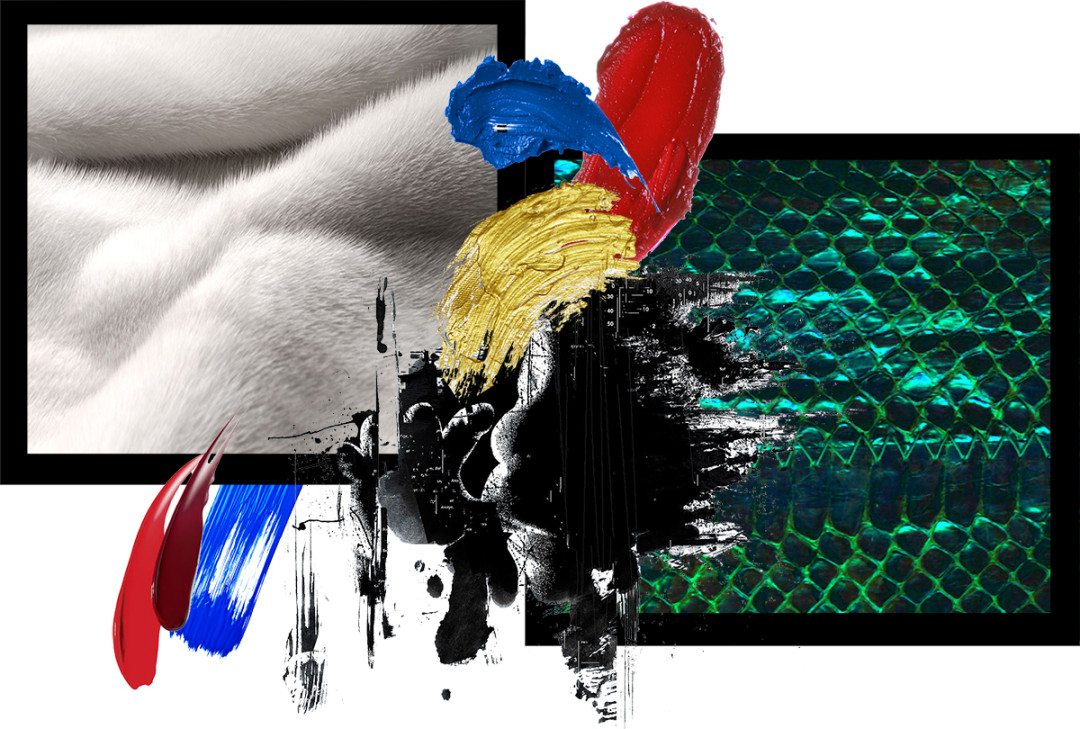 motorola header