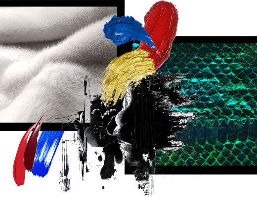 motorola header