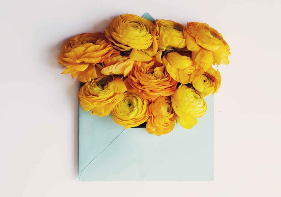 anna frost fafine flower yellow