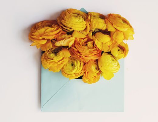 anna frost fafine flower yellow