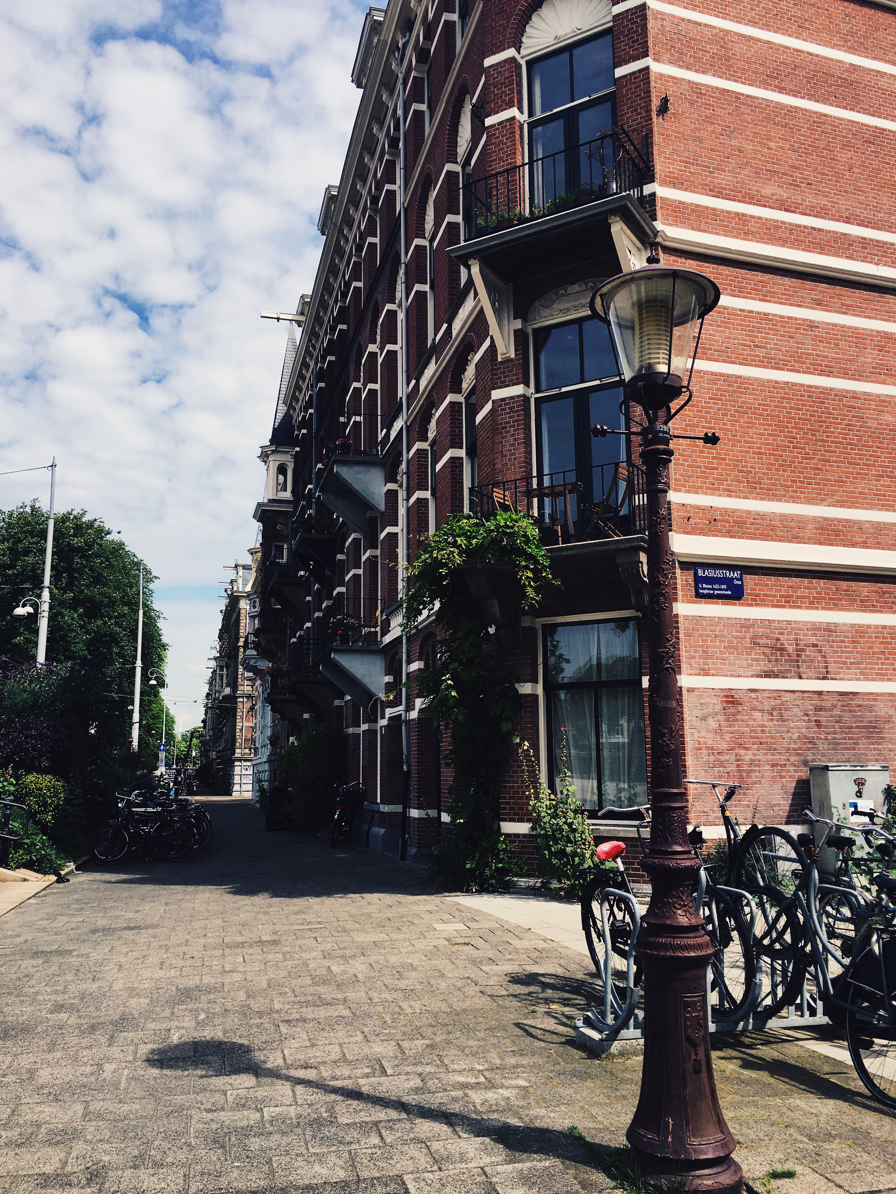 amsterdam anna frost fafine