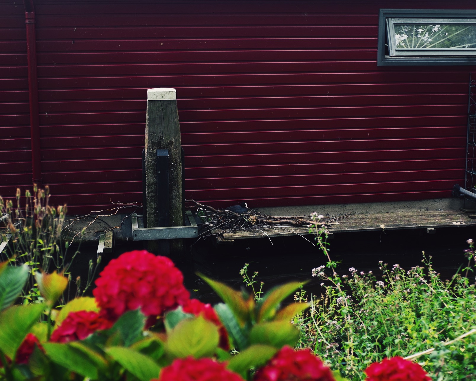 amsterdam anna frost fafine hausboot