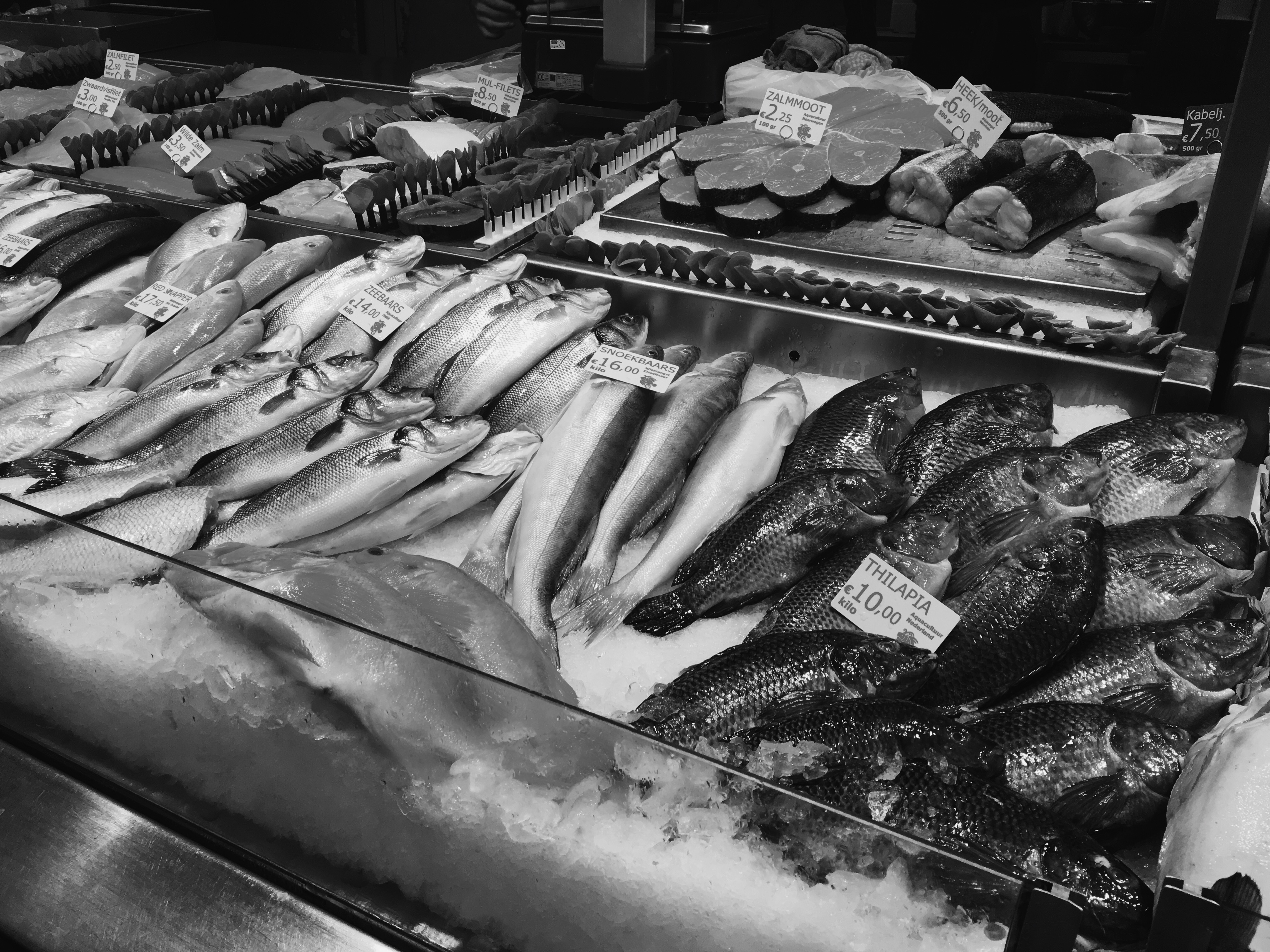 amsterdam anna frost fafine fish market