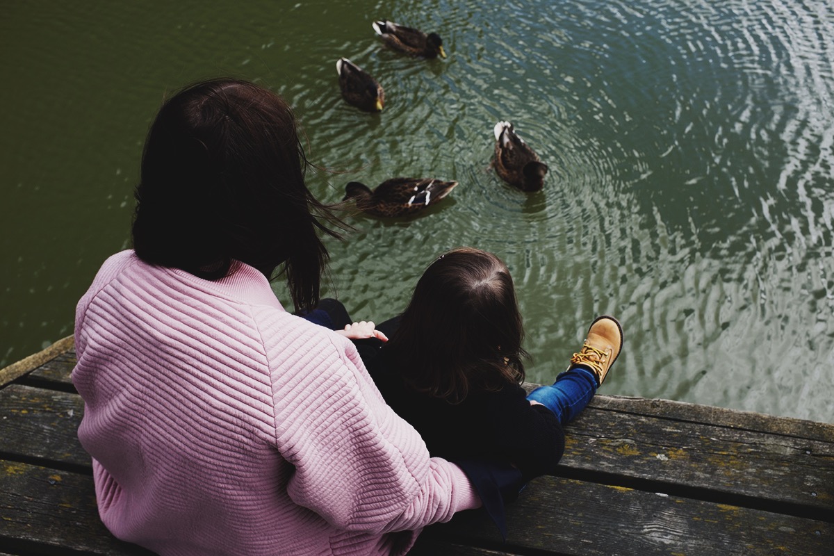 anna frost klimatarier challenge fafine