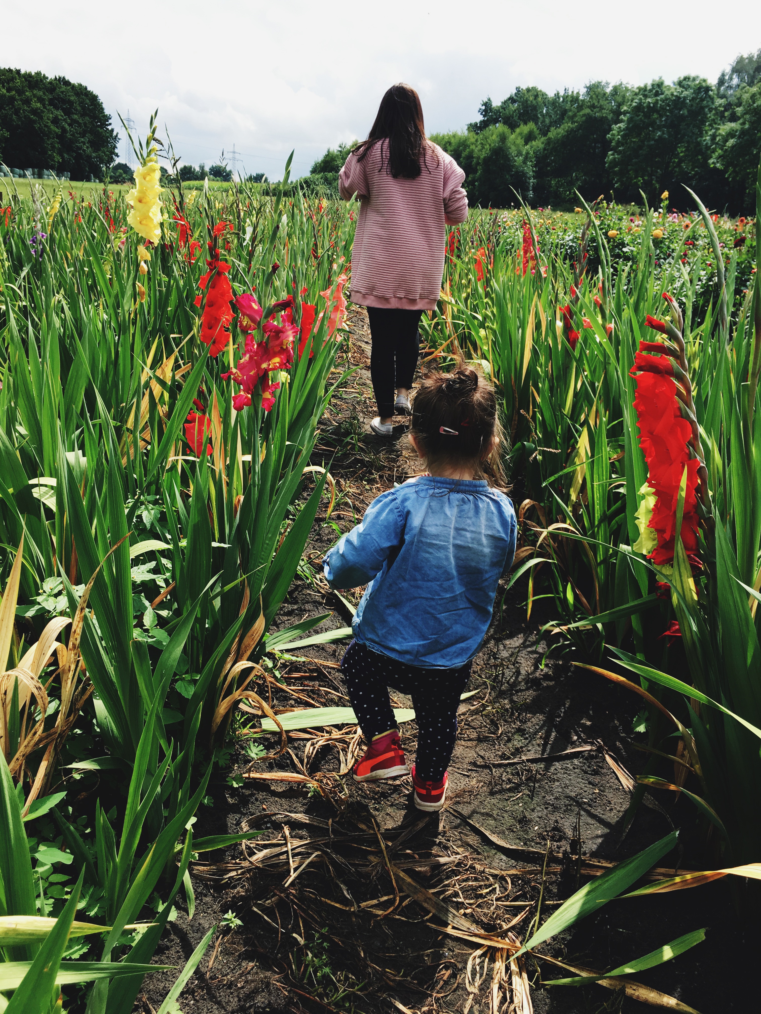 anna frost fafine klimatarier challenge