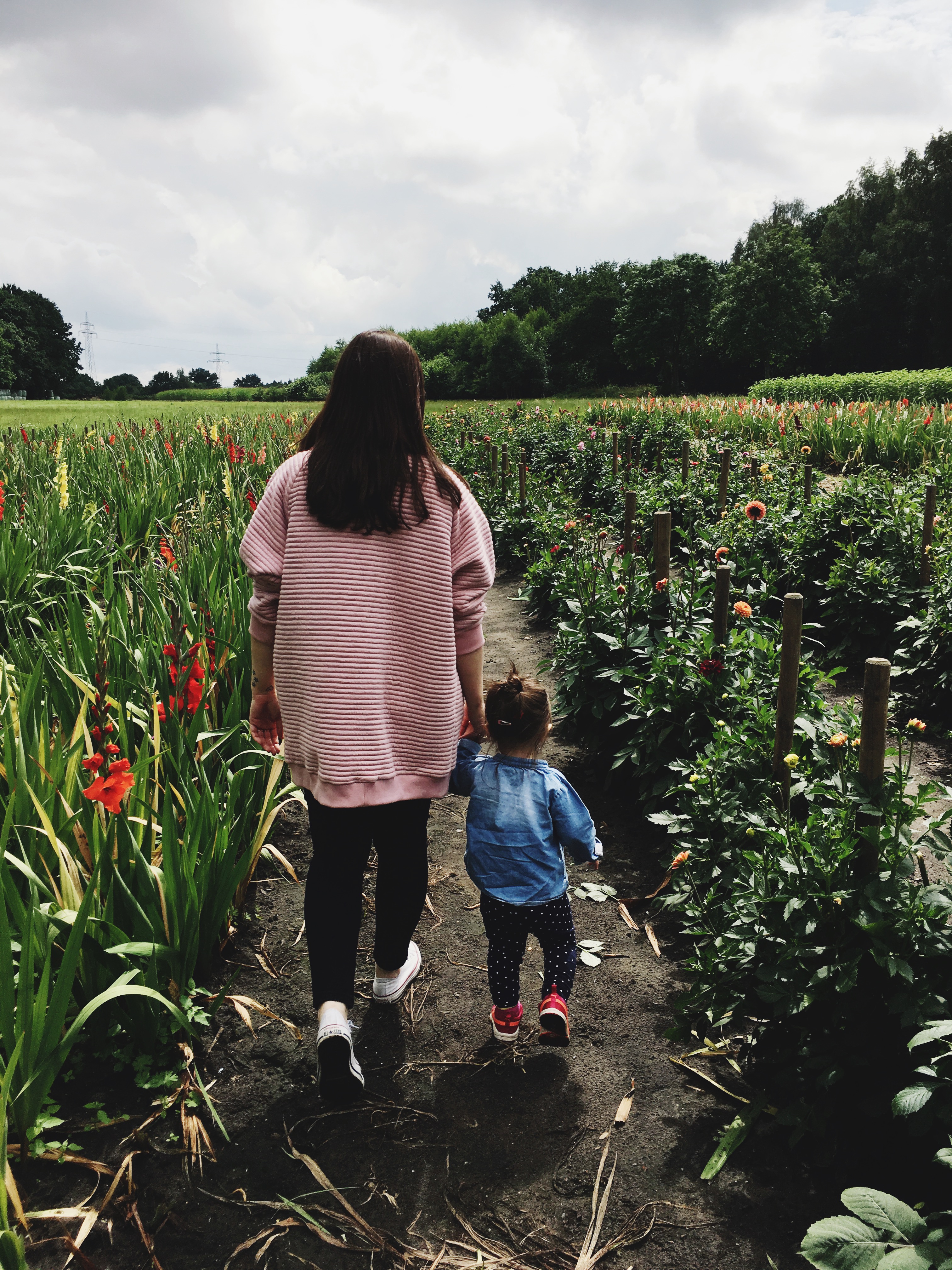 anna frost fafine klimatarier challenge