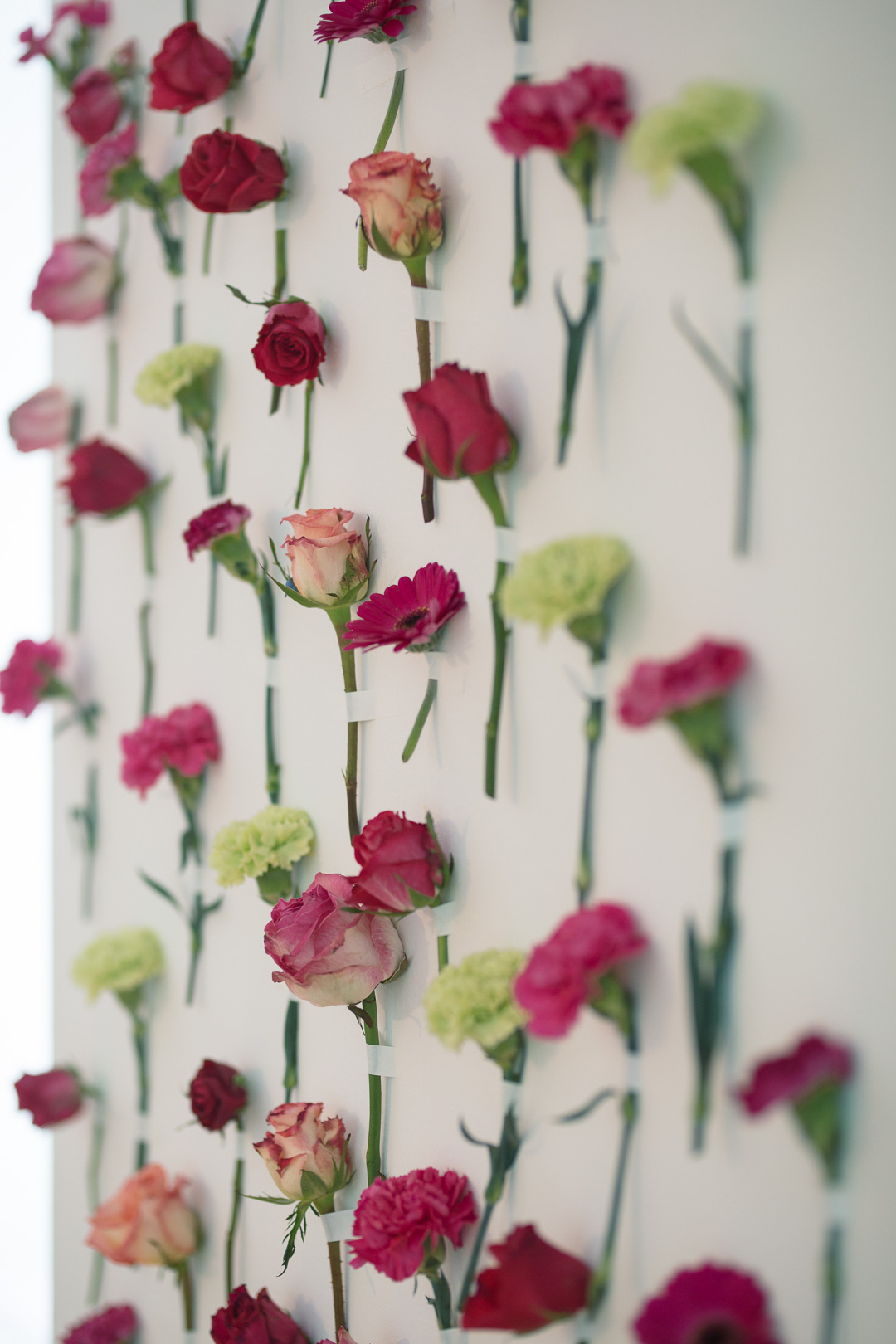 wohnzimmerkonzert_rasmus_hoffmeister_04_annafrost_fafine