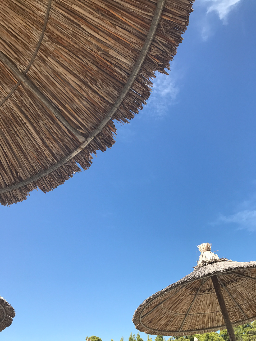 chalkidki_tui_10_annafrost_fafine