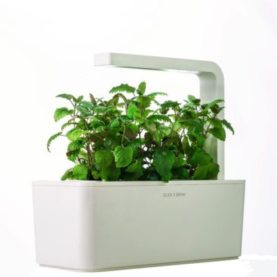 Click&Grow Smart Garden